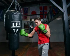 TITLE Boxing Dauntless Training Boxing Gloves