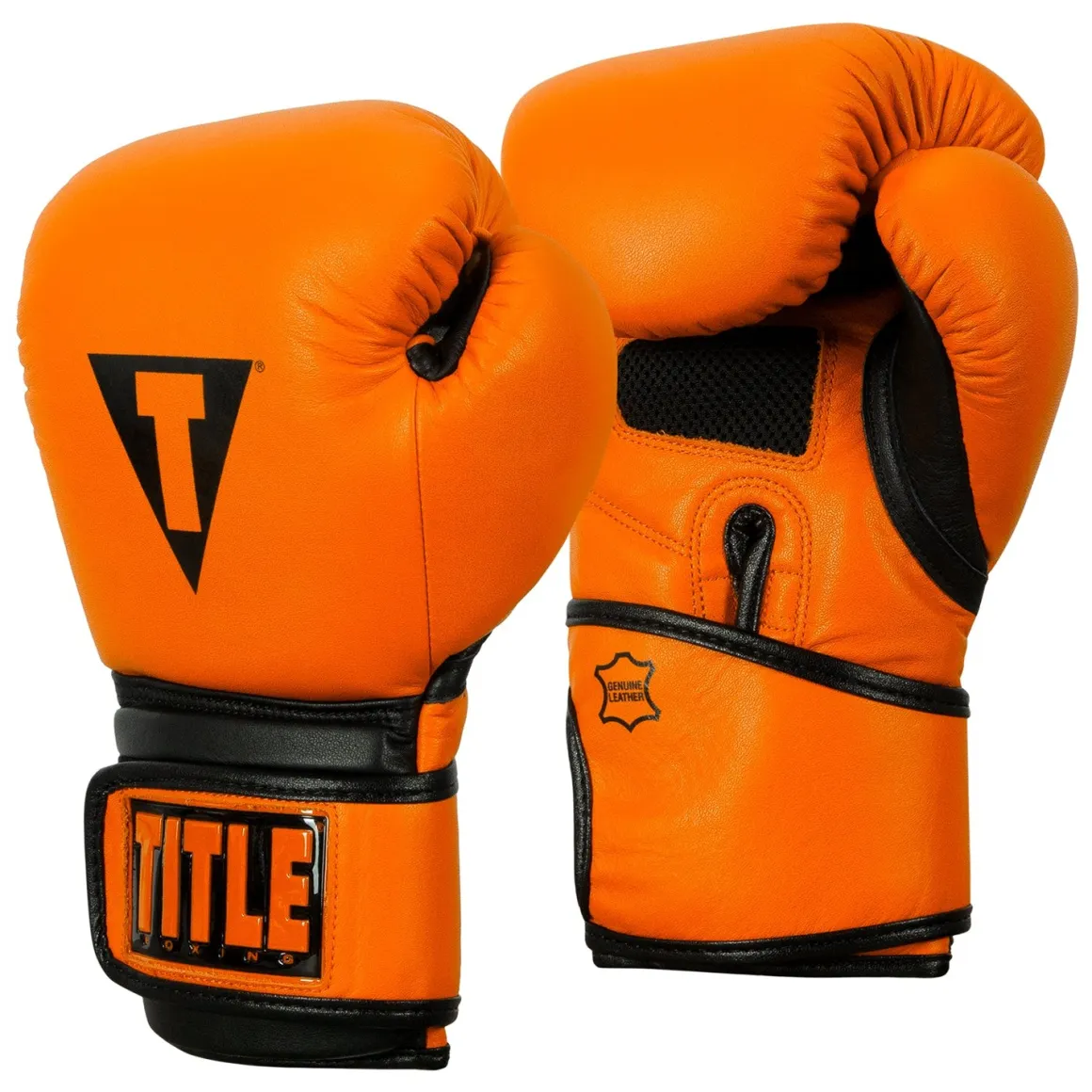 TITLE Boxing Dauntless Training Boxing Gloves