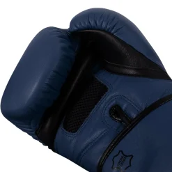 TITLE Boxing Dauntless Training Boxing Gloves
