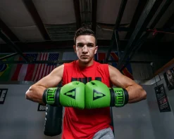 TITLE Boxing Dauntless Training Boxing Gloves
