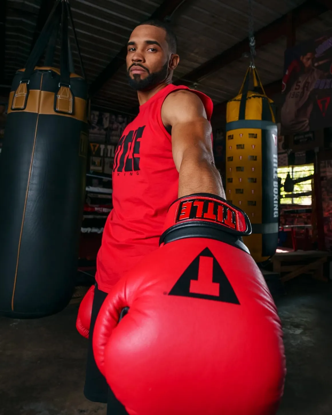 TITLE Boxing Dauntless Training Boxing Gloves