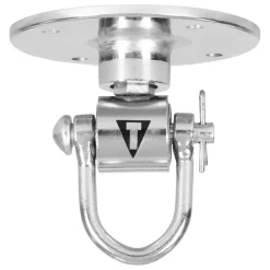 TITLE Boxing Deluxe Pro Swivel