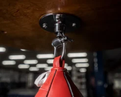 TITLE Boxing Deluxe Pro Swivel