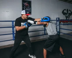 TITLE Boxing Dual Purpose Combo Punch Mitts