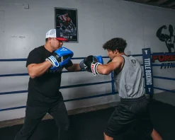 TITLE Boxing Dual Purpose Combo Punch Mitts