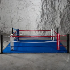 TITLE Boxing Floor Boxing Ring
