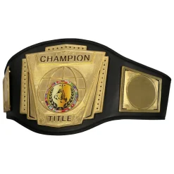 TITLE Boxing Force Of One Championship Belt