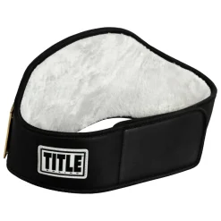 TITLE Boxing Force Of One Championship Belt