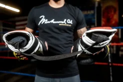 TITLE Boxing Glove Dry Devil 2.0