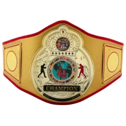TITLE Boxing Gold Flash Title Belt
