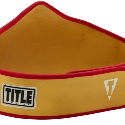 TITLE Boxing Gold Flash Title Belt