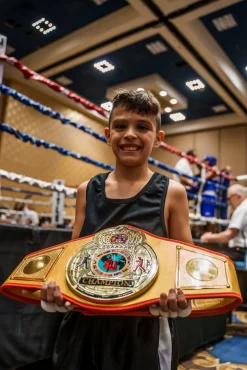 TITLE Boxing Gold Flash Title Belt