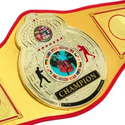TITLE Boxing Gold Flash Title Belt