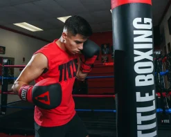TITLE Boxing Guts and Glory Bag Boxing Gloves