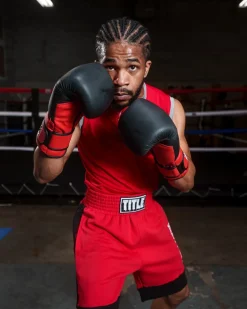 TITLE Boxing Guts and Glory Bag Boxing Gloves