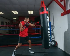 TITLE Boxing Guts and Glory Bag Boxing Gloves