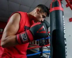 TITLE Boxing Guts and Glory Bag Boxing Gloves