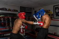 TITLE Boxing Headgear and Groin Protector Bundle