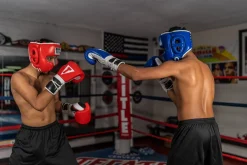TITLE Boxing Headgear and Groin Protector Bundle