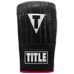 TITLE Boxing Heavy Bag & Mitt Bundle