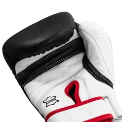 TITLE Boxing Home Conditioning Bundle