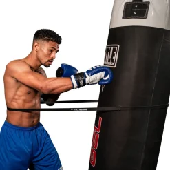 TITLE Boxing Inside Fighting Resistance Trainer