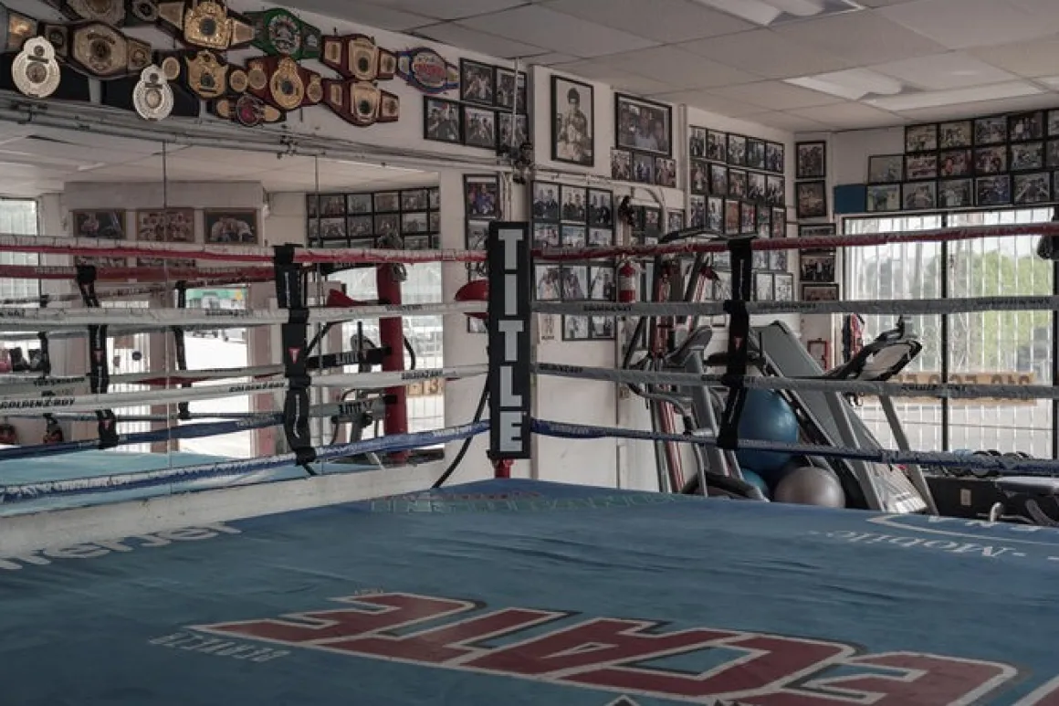 TITLE Boxing Jumbo Corner Cushions V3.0 – Set Of 4