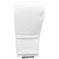 TITLE Boxing KO-Vert Sparring Boxing Gloves