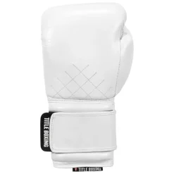 TITLE Boxing KO-Vert Training Boxing Gloves