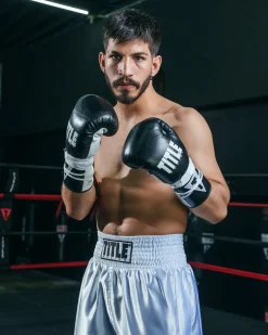 TITLE Boxing Leather Pro Fight Boxing Gloves