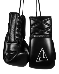 TITLE Boxing Momentum Pro Sparring Gloves
