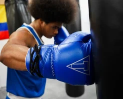 TITLE Boxing Momentum Pro Sparring Gloves