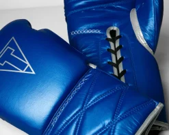TITLE Boxing Momentum Pro Sparring Gloves