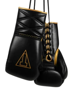 TITLE Boxing Momentum Pro Sparring Gloves