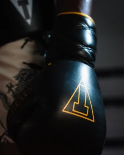 TITLE Boxing Momentum Pro Sparring Gloves