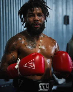 TITLE Boxing Momentum Pro Sparring Gloves