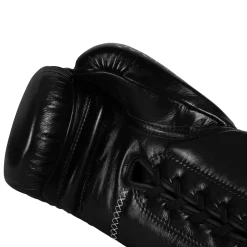 TITLE Boxing Momentum Pro Sparring Gloves