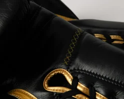 TITLE Boxing Momentum Pro Sparring Gloves