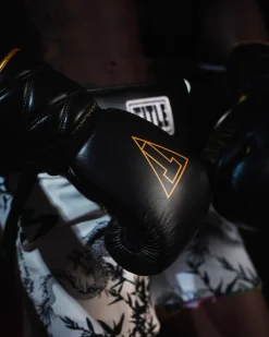 TITLE Boxing Momentum Pro Sparring Gloves