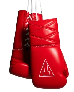TITLE Boxing Momentum Pro Sparring Gloves