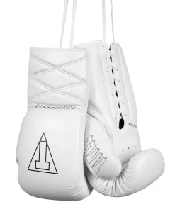 TITLE Boxing Momentum Pro Sparring Gloves
