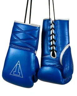 TITLE Boxing Momentum Pro Sparring Gloves