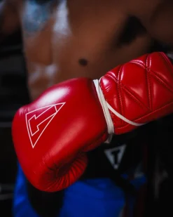 TITLE Boxing Momentum Pro Sparring Gloves