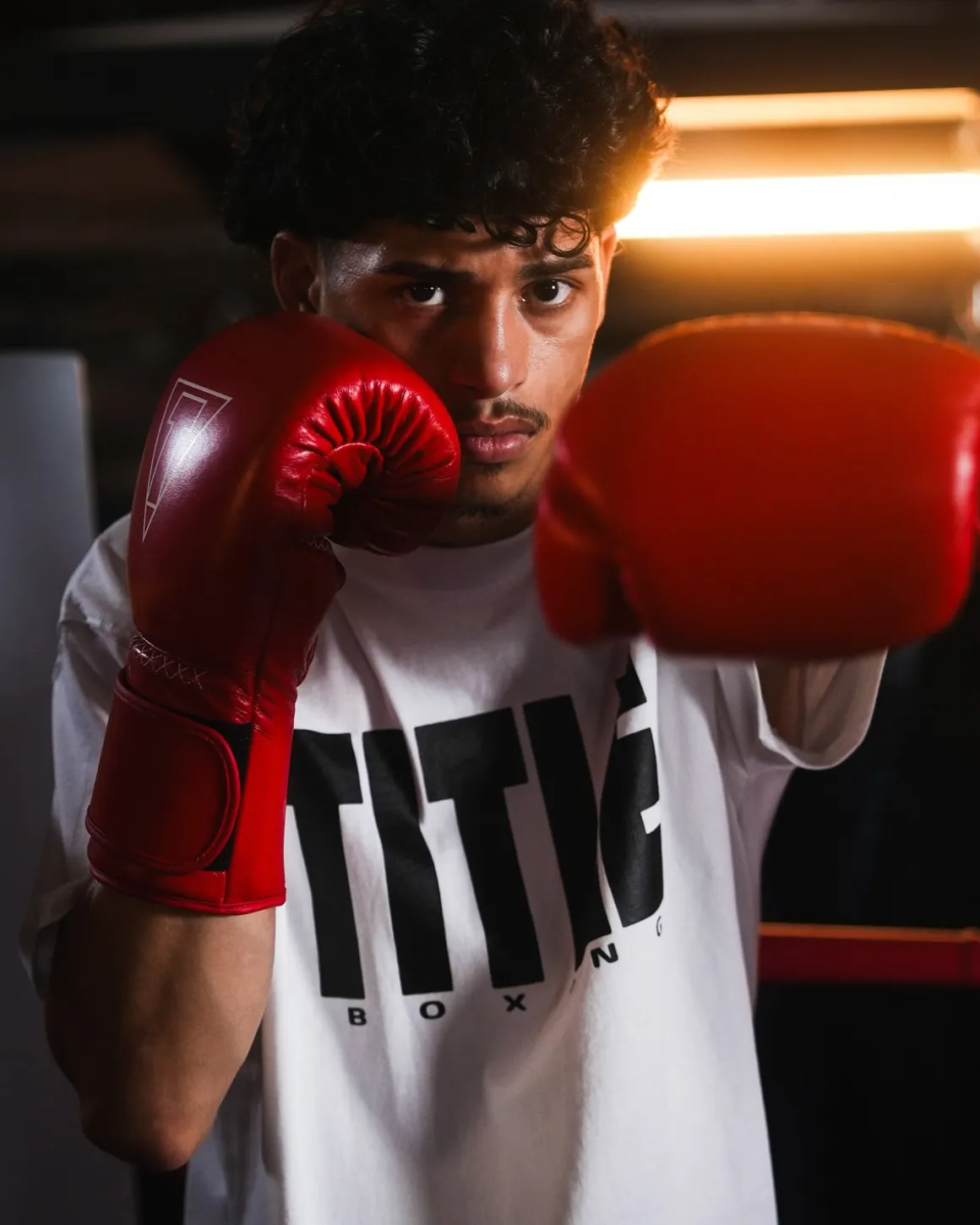 TITLE Boxing Momentum Pro Training Gloves