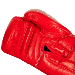 TITLE Boxing Momentum Pro Training Gloves