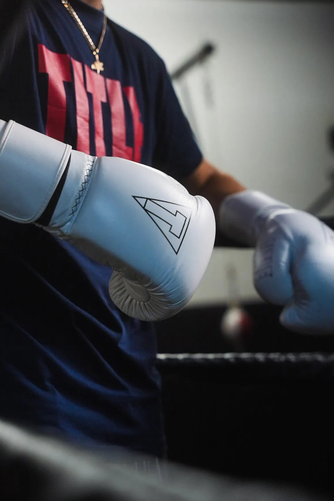 TITLE Boxing Momentum Pro Training Gloves
