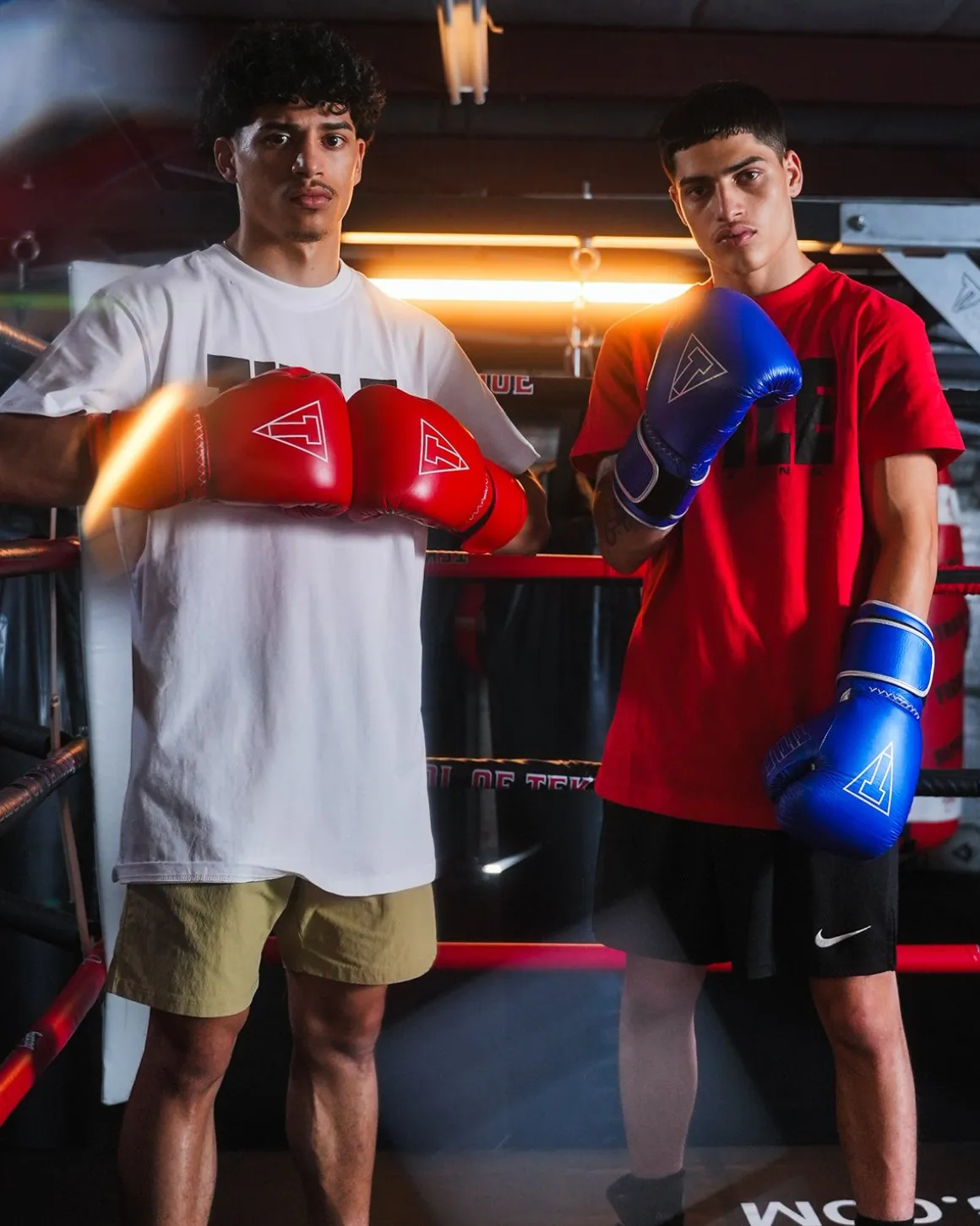 TITLE Boxing Momentum Pro Training Gloves