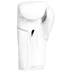 TITLE Boxing Momentum Pro Training Gloves