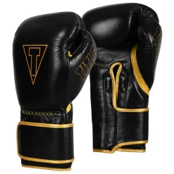 TITLE Boxing Momentum Pro Training Gloves