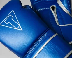 TITLE Boxing Momentum Pro Training Gloves